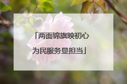 两面锦旗映初心 为民服务显担当