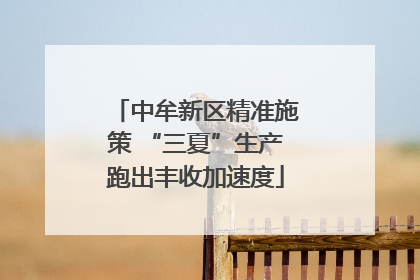 中牟新区精准施策 “三夏”生产跑出丰收加速度