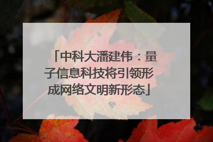 中科大潘建伟：量子信息科技将引领形成网络文明新形态