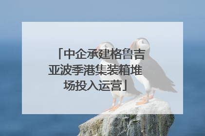 中企承建格鲁吉亚波季港集装箱堆场投入运营