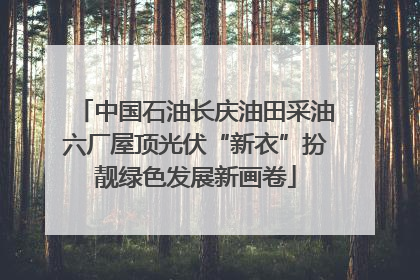 中国石油长庆油田采油六厂屋顶光伏“新衣”扮靓绿色发展新画卷