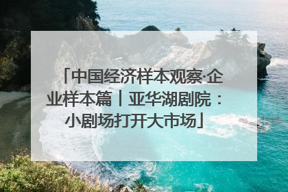 中国经济样本观察·企业样本篇︱亚华湖剧院：小剧场打开大市场