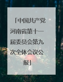 中国共产党河南省第十一届委员会第九次全体会议公报
