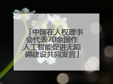 中国在人权理事会代表70余国作人工智能促进无障碍建设共同发言