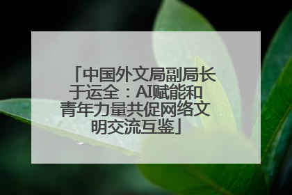 中国外文局副局长于运全：AI赋能和青年力量共促网络文明交流互鉴
