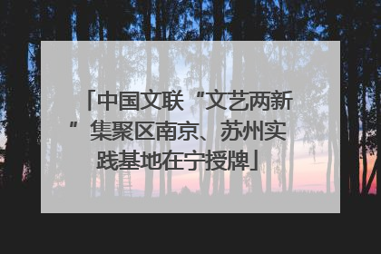 中国文联“文艺两新”集聚区南京、苏州实践基地在宁授牌