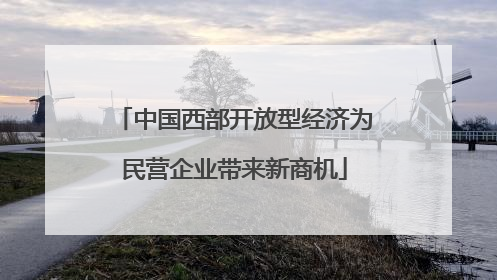 中国西部开放型经济为民营企业带来新商机