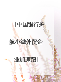 中国银行护航小微外贸企业加速跑