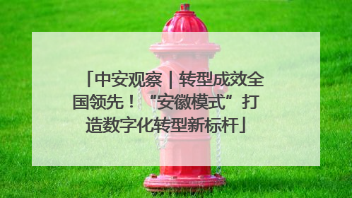 中安观察｜转型成效全国领先！“安徽模式”打造数字化转型新标杆
