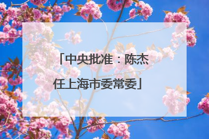中央批准：陈杰任上海市委常委