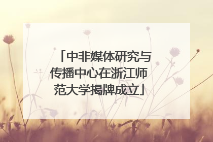 中非媒体研究与传播中心在浙江师范大学揭牌成立
