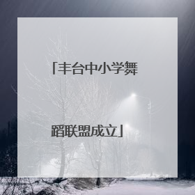 丰台中小学舞蹈联盟成立