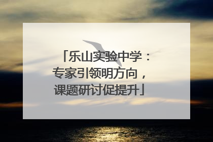 乐山实验中学：专家引领明方向，课题研讨促提升