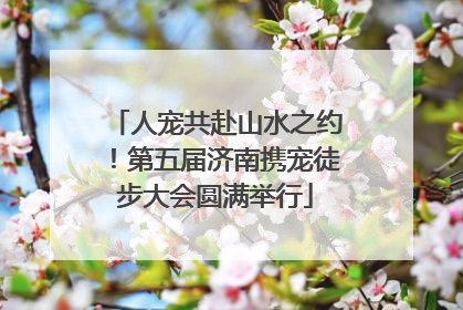 人宠共赴山水之约！第五届济南携宠徒步大会圆满举行