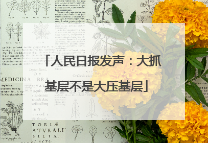 人民日报发声：大抓基层不是大压基层