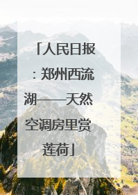人民日报：郑州西流湖——天然空调房里赏莲荷