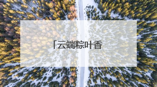 云端粽叶香 鲁疆石榴红