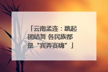 云南孟连：跳起团结舞 各民族都是“宾弄赛嗨”