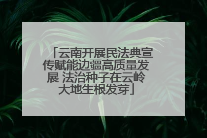 云南开展民法典宣传赋能边疆高质量发展 法治种子在云岭大地生根发芽