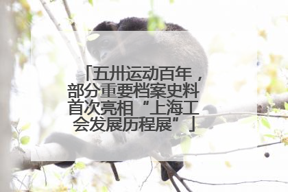 五卅运动百年，部分重要档案史料首次亮相“上海工会发展历程展”