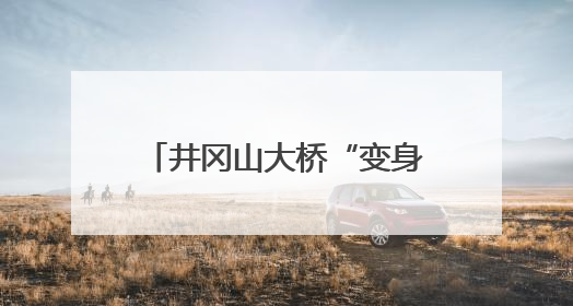 井冈山大桥“变身”进行时：拆旧建新同步推进 多举措保障汛期施工（图）