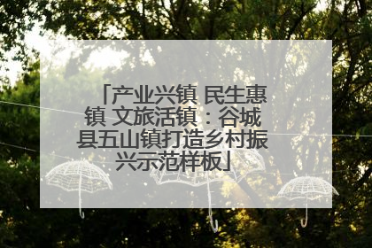 产业兴镇 民生惠镇 文旅活镇：谷城县五山镇打造乡村振兴示范样板