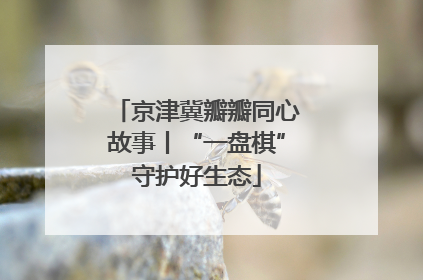 京津冀瓣瓣同心故事丨“一盘棋”守护好生态