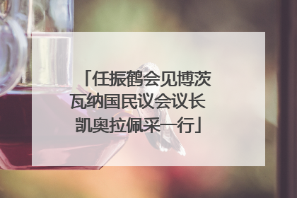 任振鹤会见博茨瓦纳国民议会议长凯奥拉佩采一行
