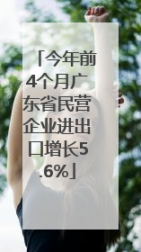今年前4个月广东省民营企业进出口增长5.6%