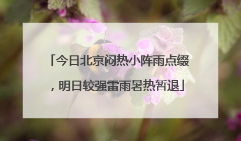 今日北京闷热小阵雨点缀，明日较强雷雨暑热暂退