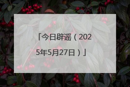 今日辟谣（2025年5月27日）