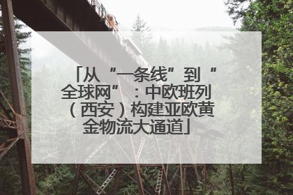 从“一条线”到“全球网”：中欧班列（西安）构建亚欧黄金物流大通道