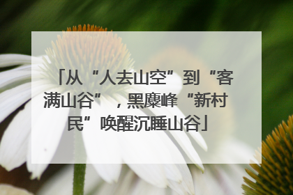从“人去山空”到“客满山谷”，黑麋峰“新村民”唤醒沉睡山谷