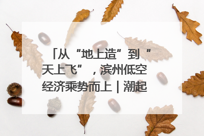 从“地上造”到“天上飞”，滨州低空经济乘势而上｜潮起渤海・网聚黄蓝
