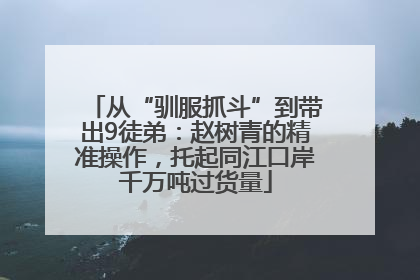 从“驯服抓斗”到带出9徒弟：赵树青的精准操作，托起同江口岸千万吨过货量