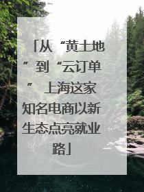 从“黄土地”到“云订单” 上海这家知名电商以新生态点亮就业路
