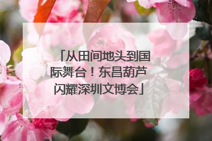 从田间地头到国际舞台！东昌葫芦闪耀深圳文博会