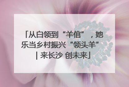 从白领到“羊倌”，她乐当乡村振兴“领头羊”｜来长沙 创未来
