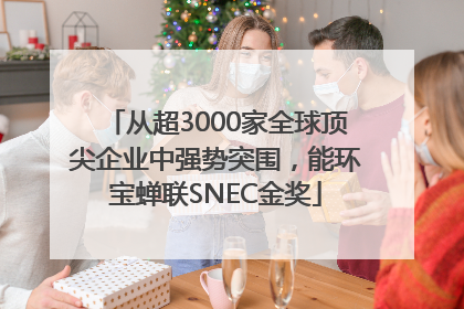 从超3000家全球顶尖企业中强势突围，能环宝蝉联SNEC金奖