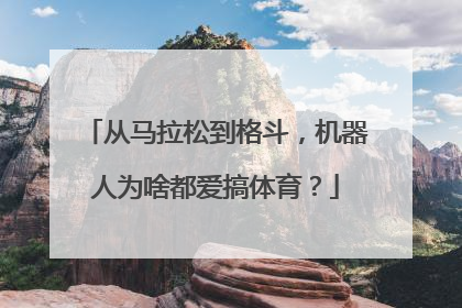从马拉松到格斗，机器人为啥都爱搞体育？