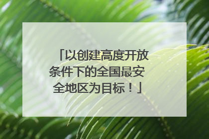 以创建高度开放条件下的全国最安全地区为目标！