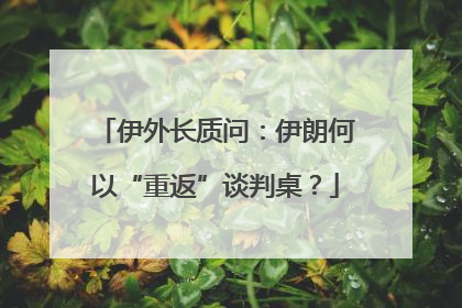 伊外长质问：伊朗何以“重返”谈判桌？