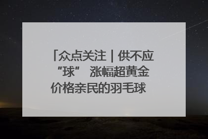 众点关注｜供不应“球” 涨幅超黄金 价格亲民的羽毛球为何身价飞涨？