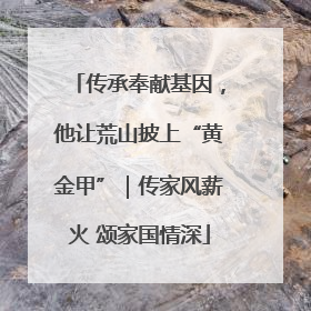 传承奉献基因，他让荒山披上“黄金甲”｜传家风薪火 颂家国情深