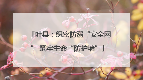 叶县：织密防溺“安全网” 筑牢生命“防护墙”