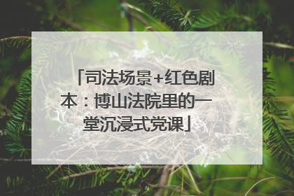 司法场景+红色剧本：博山法院里的一堂沉浸式党课