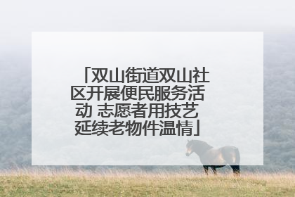 双山街道双山社区开展便民服务活动 志愿者用技艺延续老物件温情