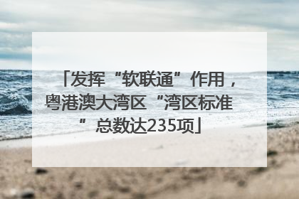 发挥“软联通”作用，粤港澳大湾区“湾区标准”总数达235项