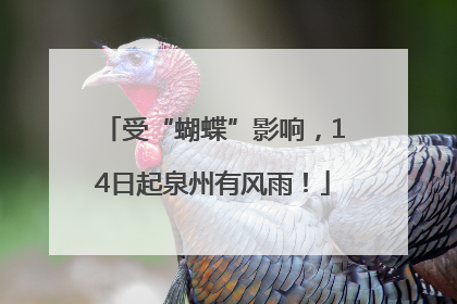 受“蝴蝶”影响，14日起泉州有风雨！