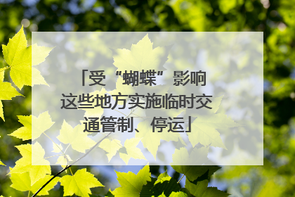 受“蝴蝶”影响 这些地方实施临时交通管制、停运